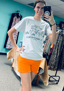 Judy Blue Orange Shorts
