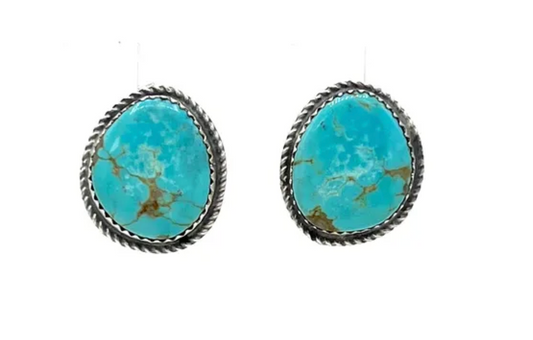 Turquoise Earrings S621 - Donovan Nez - CN